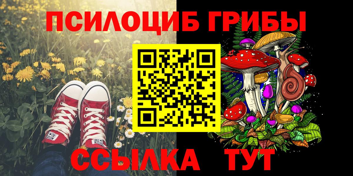 Псилоцибиновые грибы Cubensis  Вход с VPN  Гудермес 